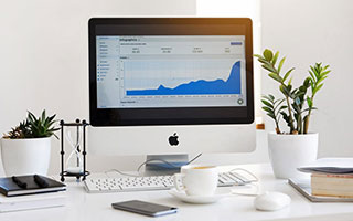 休城灰熊强势赢球，助攻王奉献双超神表现