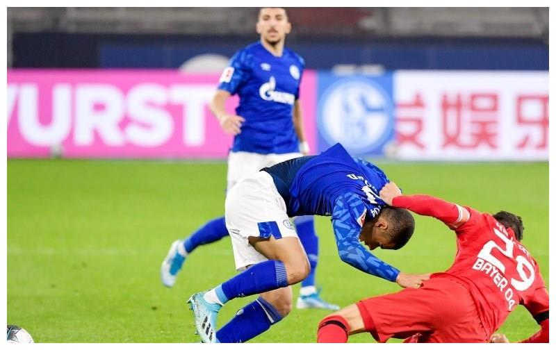 开运体育注册-沙尔克主场告捷，积分榜上升的简单介绍